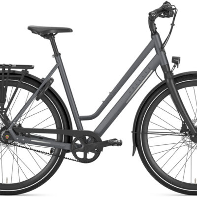 Gazelle Chamonix S11 Low Step.jpg