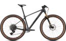 Radon JEALOUS 9.0 scaled 1.jpg
