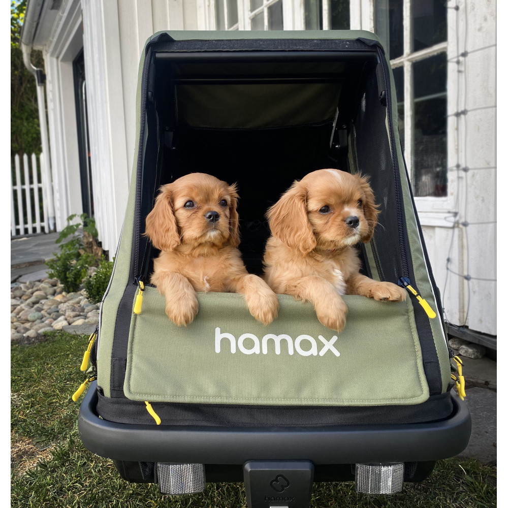 hamax pluto m dog trailer a 1665926.jpg