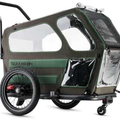 taxxi dog m 2559 2.jpg