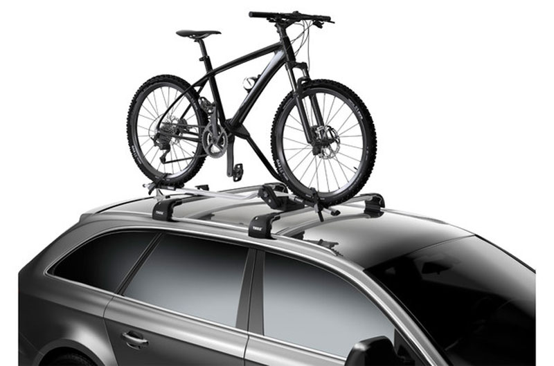 thule dach fahrradtrager proride 598 silber 598001 c.jpg